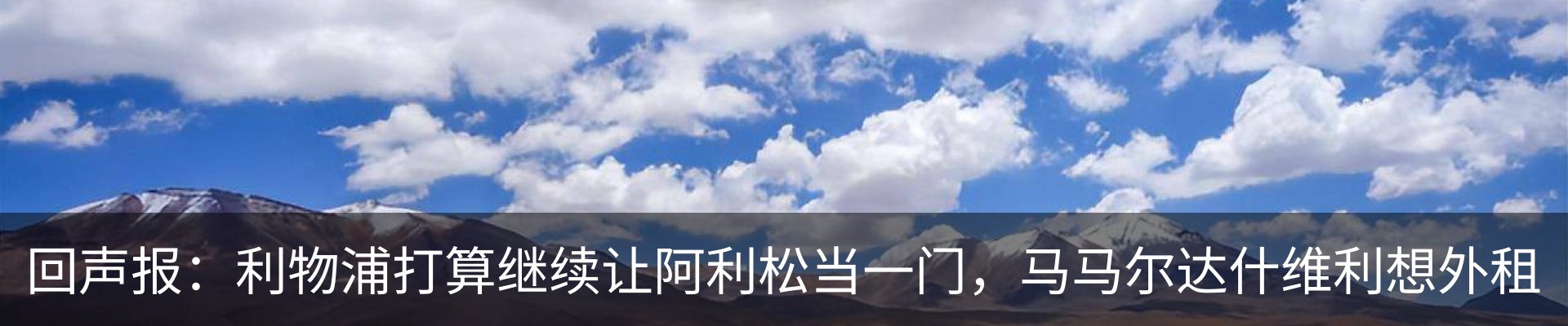 最新动态