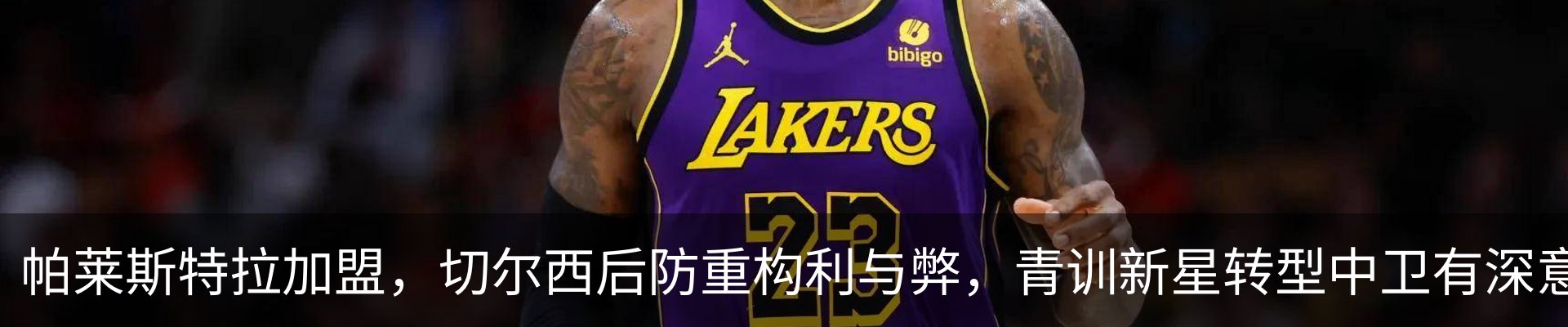 最新动态