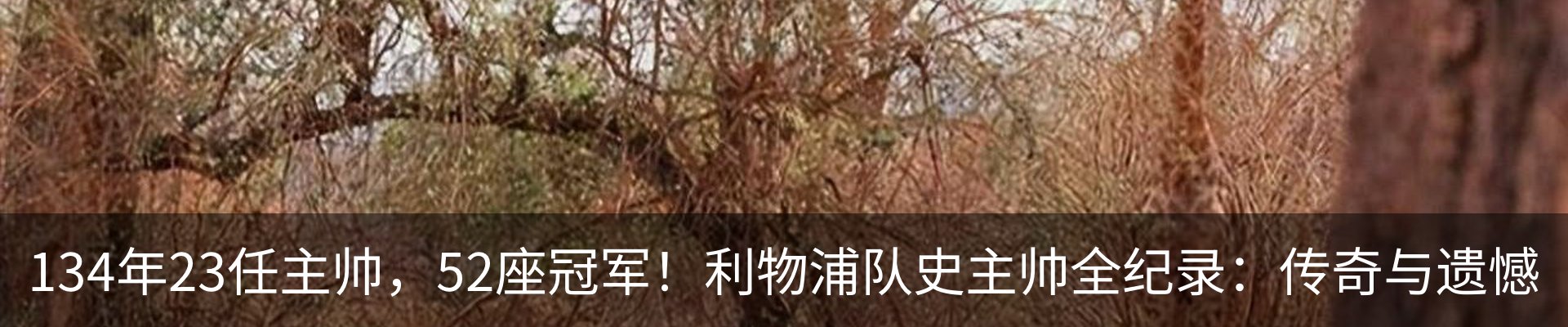 最新动态